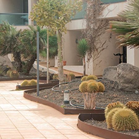 Casa Aloe Vera Cotillo المظهر الخارجي الصورة