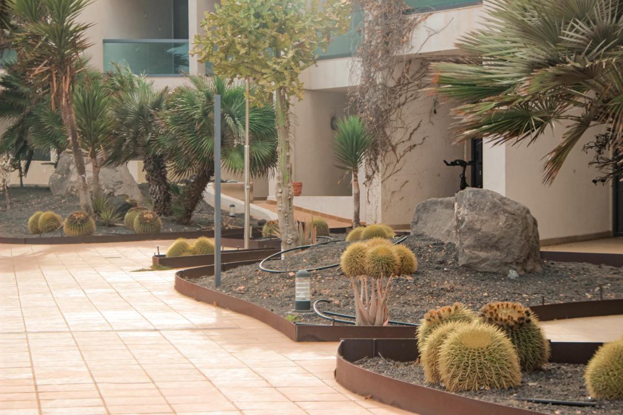 Casa Aloe Vera Cotillo المظهر الخارجي الصورة
